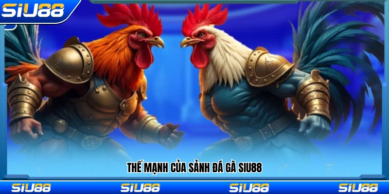 Những điểm nổi bật tạo nên sảnh đá gà Siu88