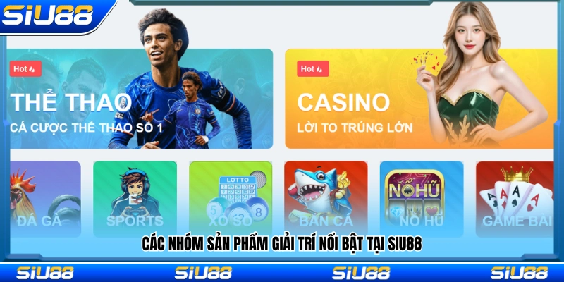 Hệ thống sản phẩm giải trí nổi bật 