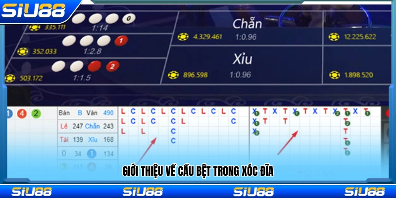 Tổng quan về hiện tượng cầu bệt khi chơi xóc đĩa