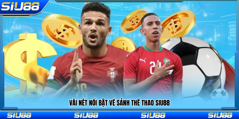 Khái quát sảnh thể thao Siu88