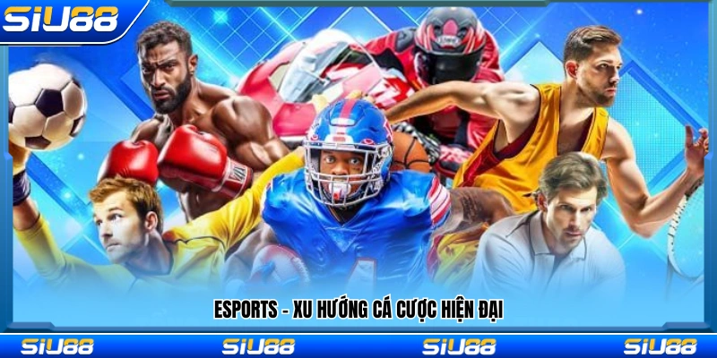 Cá cược Esports với phong cách hiện đại và linh hoạt